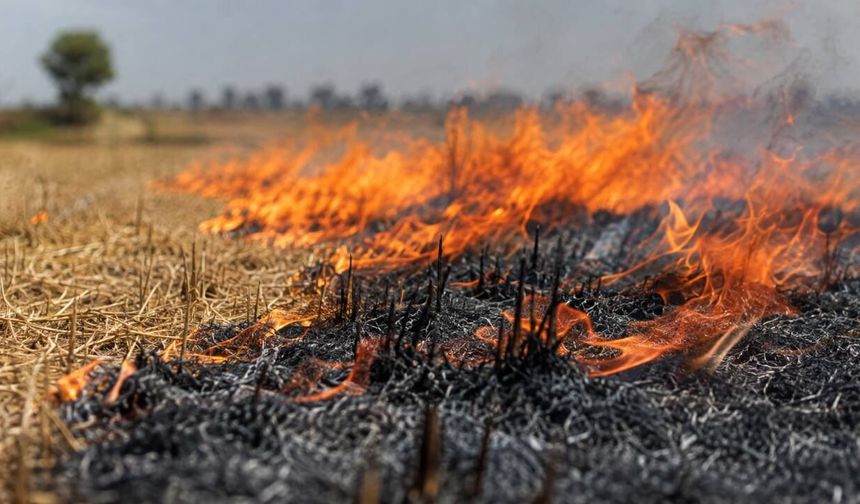 Sıcaklıklar yükseldi, uyarı peş peşe geldi: Bu hatayı yapanlar ceza alıyor