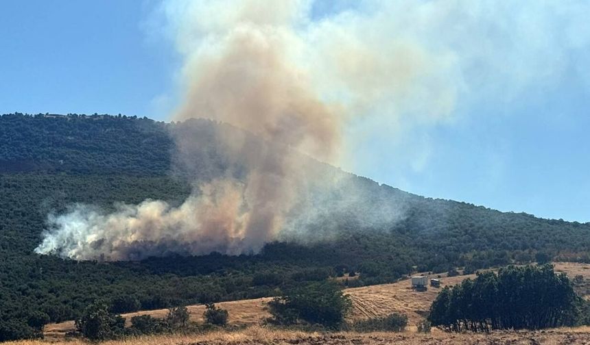 Eskişehir’de orman yangını: Ekipler alarma geçti