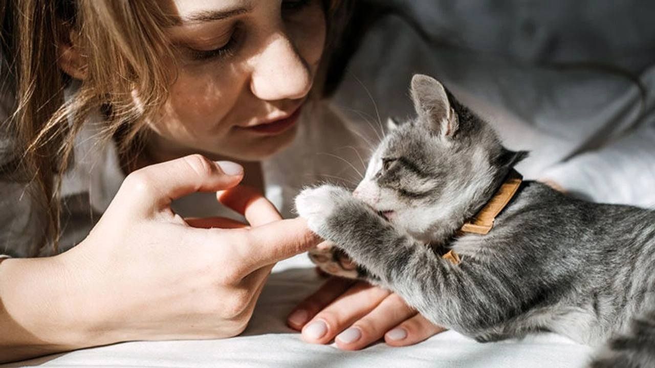 Veterinerlik öğrencilerine Eskişehir’de uygulamalı eğitim imkanı verilecek